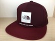 画像1: THE NORTH FACE（ザ・ノース・フェイス） Tech Logo Cap（テックロゴキャップ） キャップ 帽子 メンズ ウィメンズ ユニセックスモデル 新品 (121) (1)