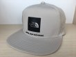 画像1: THE NORTH FACE（ザ・ノース・フェイス） Tech Logo Cap（テックロゴキャップ） キャップ 帽子 メンズ ウィメンズ ユニセックスモデル 新品 (119) (1)