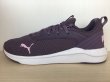 画像1: PUMA（プーマ） SOFTRIDE FLAIR WNS（ソフトライドフレアウィメンズ） スニーカー 靴 ウィメンズ 新品 (2113) (1)